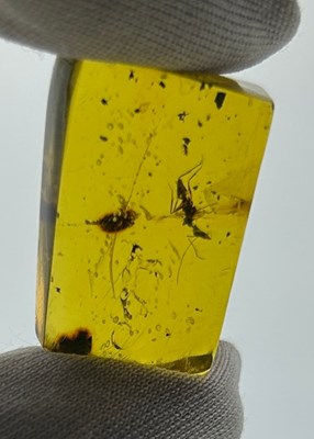 Lot 65 - A FOSSILISED ANT IN AMBER, 

From Chiapas,...