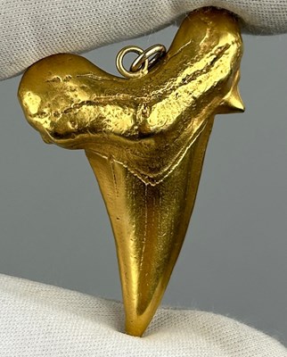 Lot 25 - A GOLD PLATED OTODUS OBLIQUUS SHARK TOOTH...