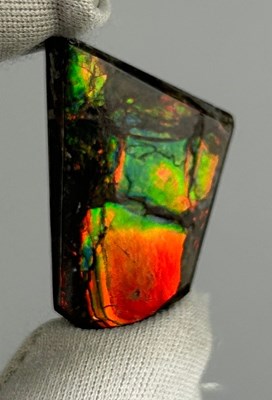 Lot 49 - A SMALL AMMOLITE GEMSTONE FOSSIL SHELL OF AN...