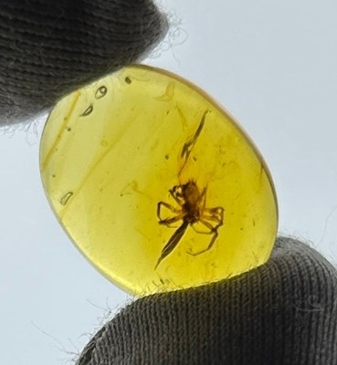 Lot 76 - A FOSSILISED SPIDER IN AMBER, 

From the mines...