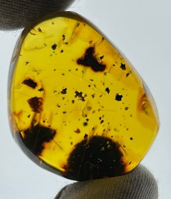 Lot 79 - A MOVEABLE WATER BUBBLE IN AMBER, 

From...