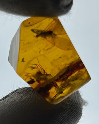 Lot 84 - WINGED INSECT IN DARK AMBER, from Chiapas,...