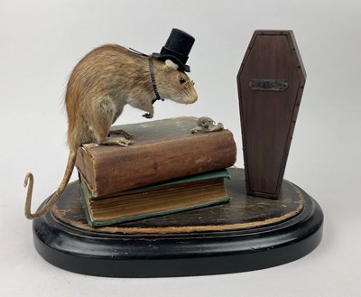 Lot 99 - ANTHROPOMORPHIC TAXIDERMY RAT, mounted on...