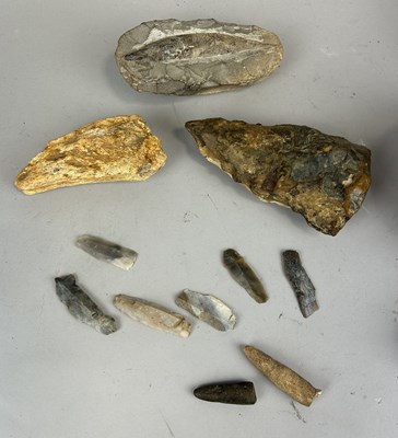 Lot 241 - NATURAL HISTORY: A FOSSILISED FISH ALONG WITH NEOLITHIC SCRAPERS, A BONE, POSSIBLE AXE