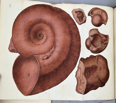 Lot 1 - JAMES SOWERBY (1757-1822) 'MINERAL CONCHOLOGY'...