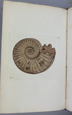 Lot 1 - JAMES SOWERBY (1757-1822) 'MINERAL CONCHOLOGY'...