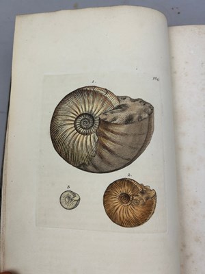 Lot 1 - JAMES SOWERBY (1757-1822) 'MINERAL CONCHOLOGY'...