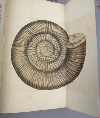 Lot 1 - JAMES SOWERBY (1757-1822) 'MINERAL CONCHOLOGY'...