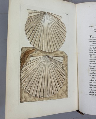 Lot 1 - JAMES SOWERBY (1757-1822) 'MINERAL CONCHOLOGY'...