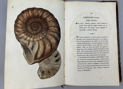 Lot 1 - JAMES SOWERBY (1757-1822) 'MINERAL CONCHOLOGY'...