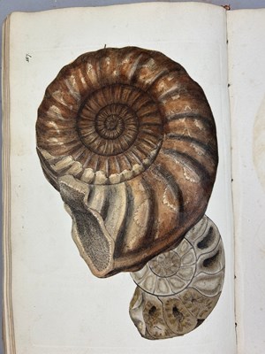 Lot 1 - JAMES SOWERBY (1757-1822) 'MINERAL CONCHOLOGY'...