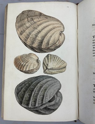 Lot 1 - JAMES SOWERBY (1757-1822) 'MINERAL CONCHOLOGY'...