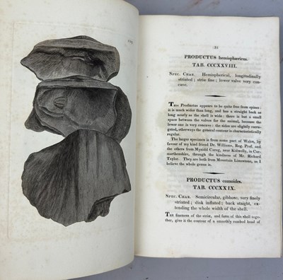 Lot 1 - JAMES SOWERBY (1757-1822) 'MINERAL CONCHOLOGY'...