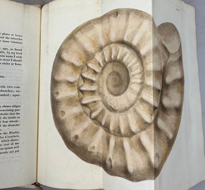 Lot 1 - JAMES SOWERBY (1757-1822) 'MINERAL CONCHOLOGY'...