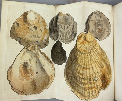 Lot 1 - JAMES SOWERBY (1757-1822) 'MINERAL CONCHOLOGY'...