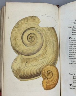 Lot 1 - JAMES SOWERBY (1757-1822) 'MINERAL CONCHOLOGY'...