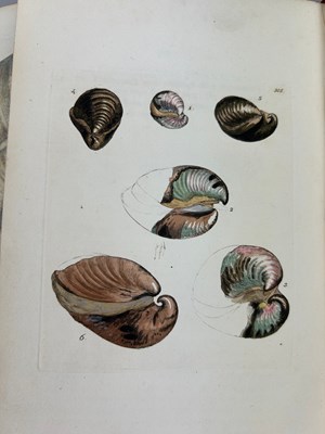 Lot 1 - JAMES SOWERBY (1757-1822) 'MINERAL CONCHOLOGY'...