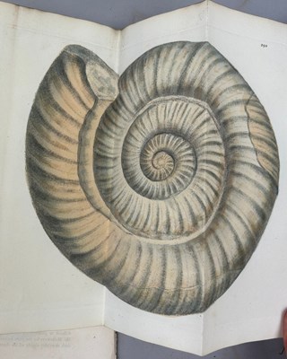 Lot 1 - JAMES SOWERBY (1757-1822) 'MINERAL CONCHOLOGY'...