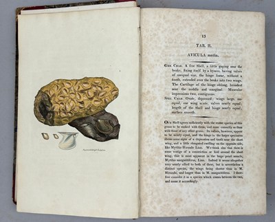 Lot 1 - JAMES SOWERBY (1757-1822) 'MINERAL CONCHOLOGY'...