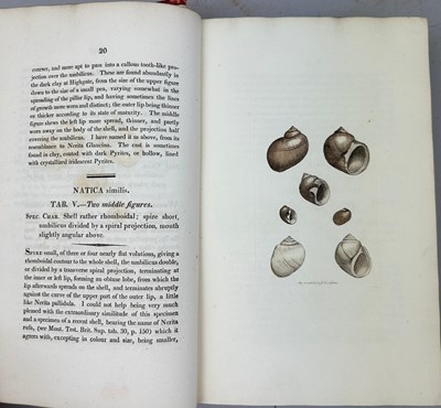 Lot 1 - JAMES SOWERBY (1757-1822) 'MINERAL CONCHOLOGY'...