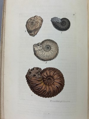 Lot 1 - JAMES SOWERBY (1757-1822) 'MINERAL CONCHOLOGY'...