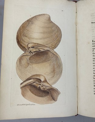 Lot 1 - JAMES SOWERBY (1757-1822) 'MINERAL CONCHOLOGY'...