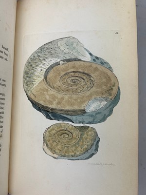 Lot 1 - JAMES SOWERBY (1757-1822) 'MINERAL CONCHOLOGY'...