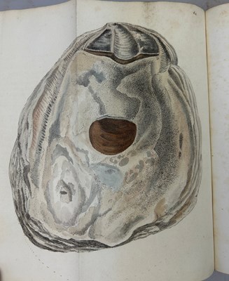 Lot 1 - JAMES SOWERBY (1757-1822) 'MINERAL CONCHOLOGY'...