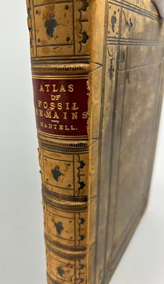 Lot 2 - GIDEON MANTELL (1790-1852) 'PICTORIAL ATLAS OF...