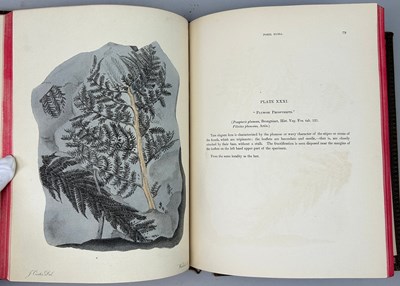 Lot 2 - GIDEON MANTELL (1790-1852) 'PICTORIAL ATLAS OF...