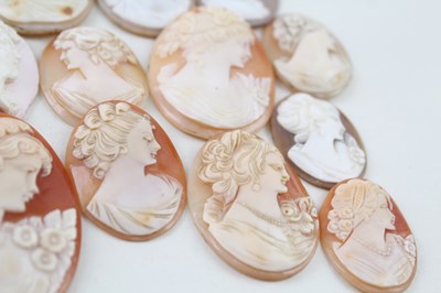 Lot 136 - LOOSE SHELL CAMEO PANELS FOR REPURPOSING / JEWELLERY MAKING X20 170g