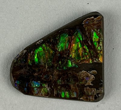 Lot 185 - AN AMMOLITE GEMSTONE FOSSIL SHELL OF AN...