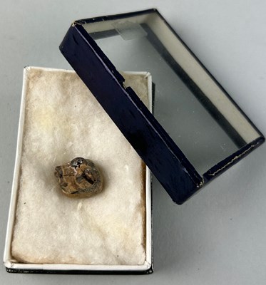 Lot 200 - AN EXTREMELY RARE MOLAR TOOTH OF THE...