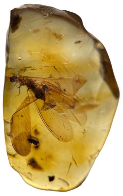 Lot 208 - FLYING INSECT FOSSIL IN AMBER

From Chiapas,...