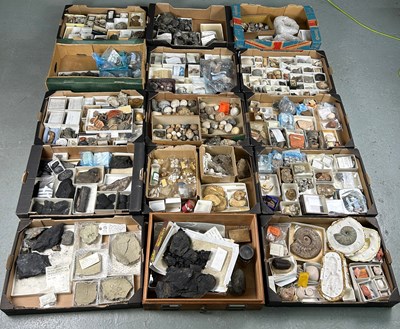 Lot 158 - A LARGE PALAEONTOLOGY AND FOSSIL COLLECTION...