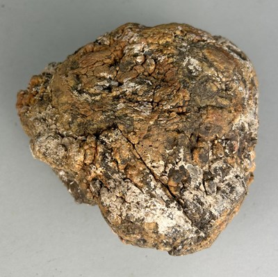 Lot 164 - A DINOSAUR ‘COPROLITE’ OR FOSSIL POO FROM UTAH,...