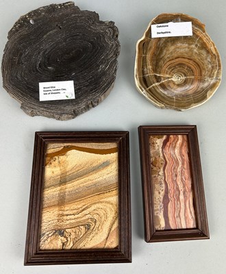 Lot 202 - A COLLECTION OF FOSSILISED PICTURE STONES, to...