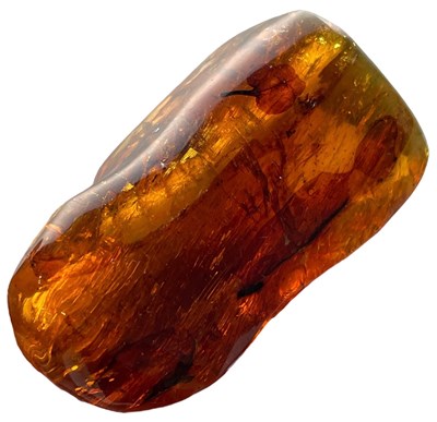 Lot 209 - A LARGE FREESTANDING AMBER GEM WITH LEAF...