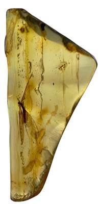 Lot 213 - FLYING INSECT FOSSIL IN AMBER
 
A flying...