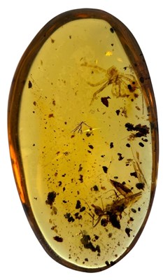 Lot 216 - SPIDER AND LARGE ANT FOSSIL IN AMBER
 
A...