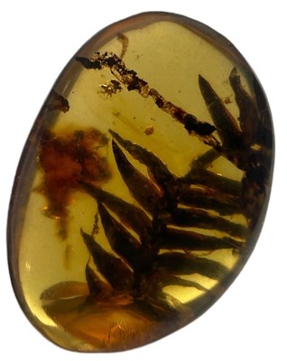 Lot 218 - FERN FOSSIL IN AMBER
 
A fossilised fern frond...