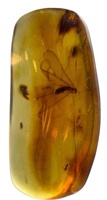 Lot 219 - FLYING INSECT FOSSIL IN AMBER
 
A flying...