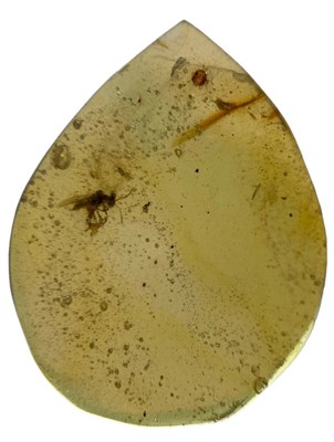 Lot 220 - A FOSSIL BEE IN AMBER
 
This amber cabochon...