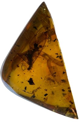 Lot 221 - A PAIR OF FLYING INSECT FOSSILS IN AMBER
 
A...