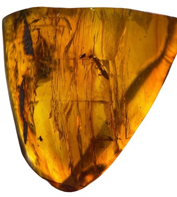 Lot 222 - A LARGE AMBER GEM WITH INSECT FOSSIL
 
This...