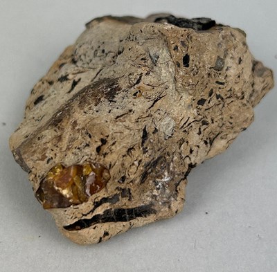 Lot 223 - A RARE CRETACEOUS AMBER, 

Wealdon, Brook Bay,...