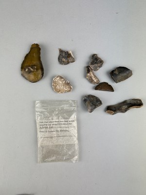 Lot 270 - A COLLECTION OF PALAEOLITHIC WORKED FLINTS,...