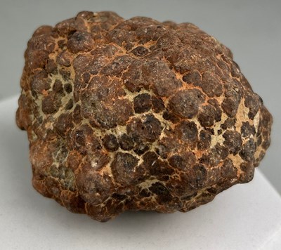 Lot 272 - A DINOSAUR ‘COPROLITE’ OR FOSSIL POO FROM UTAH,...