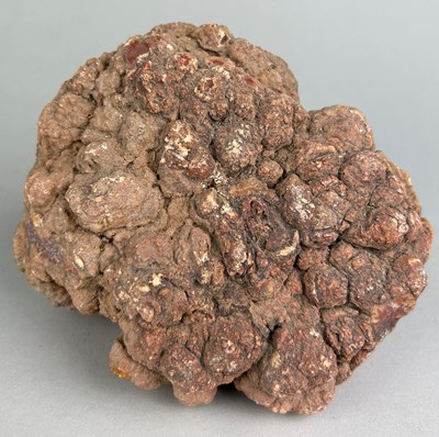 Lot 273 - A LARGE DINOSAUR ‘COPROLITE’ OR FOSSIL POO...