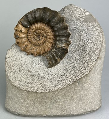 Lot 282 - A LARGE FREESTANDING AMMONITE FOSSIL FROM...